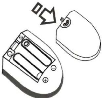 NEVIR NVR-7502-19HDD-B - Inserting Batteries - 1