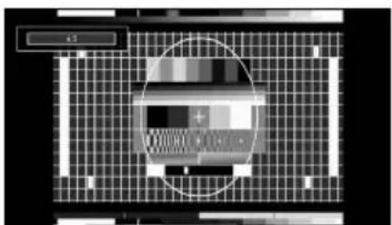NEVIR NVR-7502-19HDD-B - 4:3 - 1