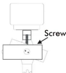 Screw
