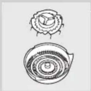 PHILIPS LR03P4B - Почистване на бръснещия блок с предоставената четка - 3