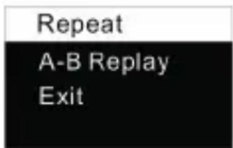 Repeat A-B Replay Exit