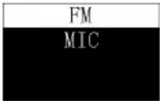 FM MIC