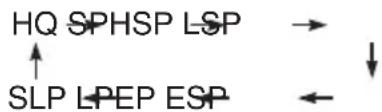 graph TD A["HQ SPHSP LSP"] --> B["→"] C["SLP LPEP ESP"] <--_D["←"]