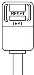 RESET TEST