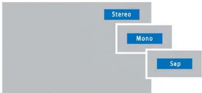 SANYO DP19647 - SYMPTOM CHECK THESE CONDITIONS TRY THESE SOLUTIONS - 4