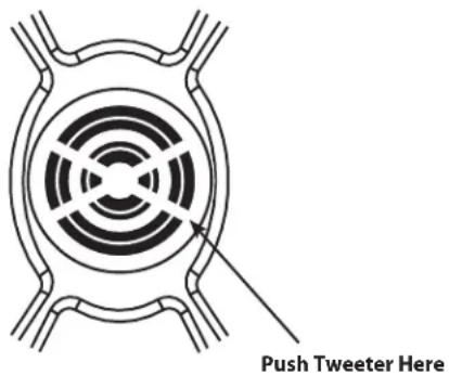 Push Tweeter Here