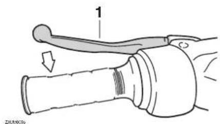 1 ZAU80036