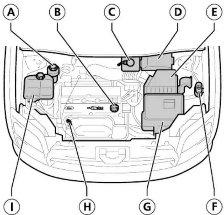 FORD Tourneo Connect (2008) - OVERZICHT MOTORRUIMTE - 1,8 L DURATEC-DOHC (ZETA) - 1