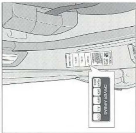 DRIVER AIRBAG YEAR BEES APPY ALL DCX