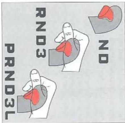 ND RND3 PRND3L