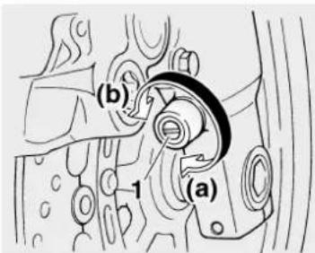 (b) 1 (a)