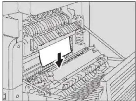 TOSHIBA e-studio 242 - Voorzichtig - 1
