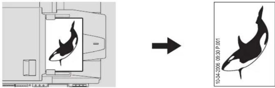 TOSHIBA e-studio 242 - Paginanummer, datum en tijd afdrukken - NOTITIE - - 1