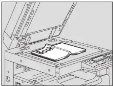 TOSHIBA e-studio 242 - Voorzichtig - 1