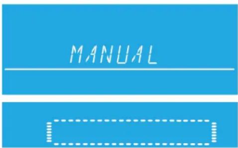 MANUAL