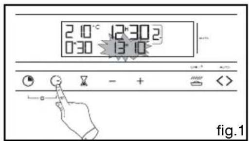 2 10 °C 12°30'2 0:30 13:10 fig.1