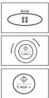Auto 1 min + 1 min +