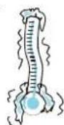 BAUKNECHT EMCHS 7945 - RAPID DEFROST - 4