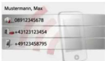Mustermann, Max 08912345678 +43123123454 +49123458795