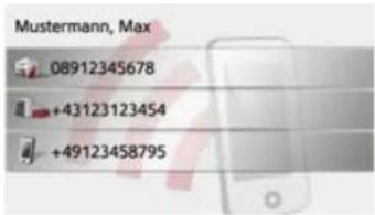 Mustermann, Max 08912345678 +43123123454 +49123458795
