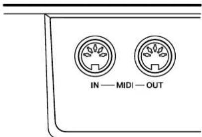 IN — MIDI — OUT
