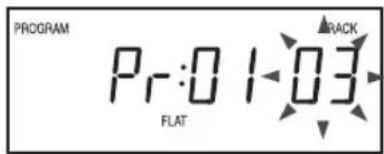 PROGRAM Pr:0 1:03 FLAT RACK
