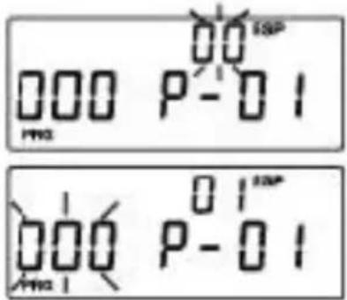 000 P-01 000 P-01