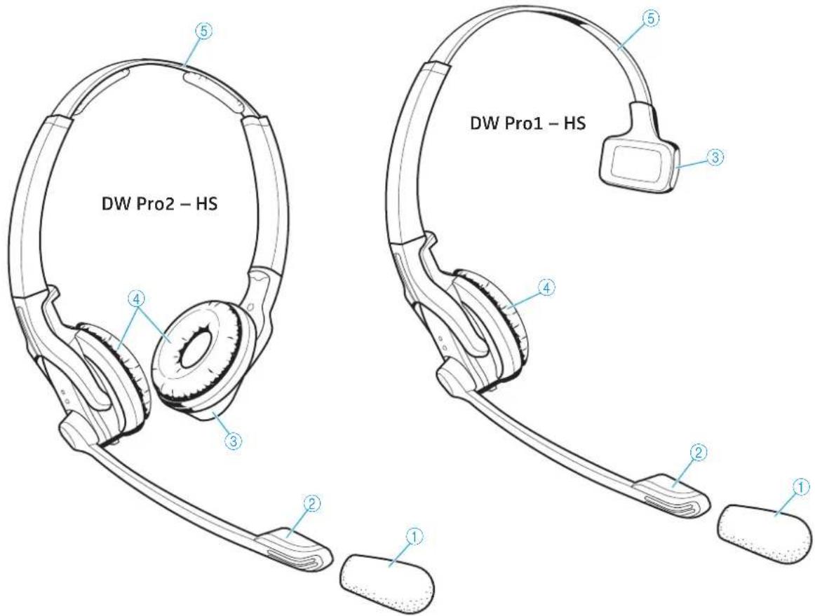 DW Pro2 - HS DW Pro1 - HS