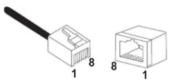 Allied Telesis AT-2973T - 10/100/1000Base-T Twisted-Pair Port Connectors - 1