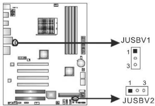 BIOSTAR TA890FXE - JUSBV1/JUSBV2: Power Source Headers for USB Ports - 1
