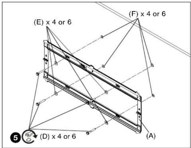 (E) x 4 or 6 (F) x 4 or 6 (D) x 4 or 6 (A) 5