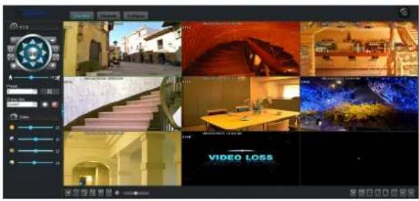 Screenshot of a video editing software interface displaying multiple image thumbnails and a 'VIDEO LOSS' button.