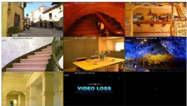 Collage of interior and outdoor scenes with visible text labels such as 'VIDEO LOSS' and 'REMARKS STADIATION', overlaid on architectural and interior imagery.