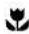 WESTINGHOUSE GSP625 - IMPORTANT - CHECK FOR ANY DAMAGE OR MARKS. - 1