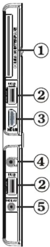 Finlux 32F6030-T-IB - Viewing the Connections - Side Connectors - 1