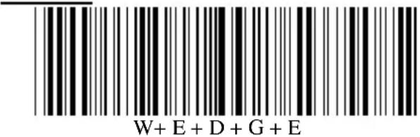 W+ E + D + G + E