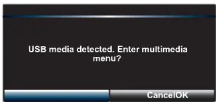 USB media detected. Enter multimedia menu?