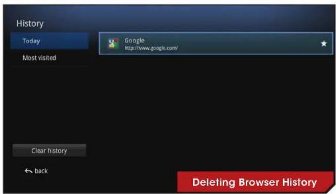 VIZIO Co-Star - DELETING BROWSER HISTORY - 1