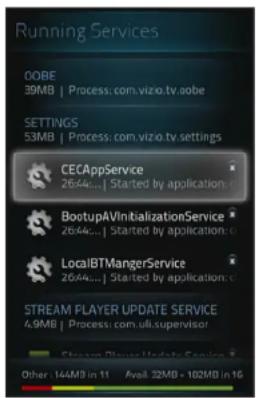 VIZIO Co-Star - Managing Services - 2