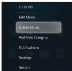 VIZIO Co-Star - Deleting a Custom Category - 2