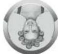 Conair Secret Curl HS63 - ALWAYS UNPLUG SMALL APPLICATIONS - 5