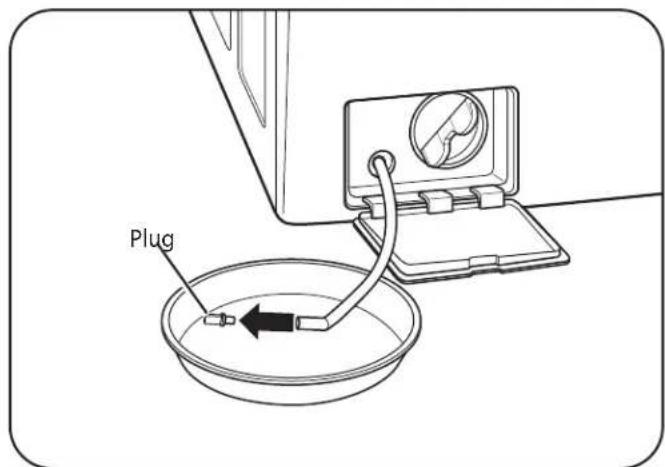 Plug