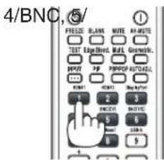 4/BNC, 5/ FREED: BLANK MUTE AMUTE TEST Equip Bnd. Wd. Gwntb. MINT P# PPPOP AUTOGAL MINT MINT Shap/Min 1 2 3 BNDN SNTC 5 6 ON 6 7 9