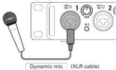 Dynamic mic (XLR cable)