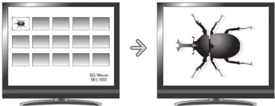 SD/Movie 001/003