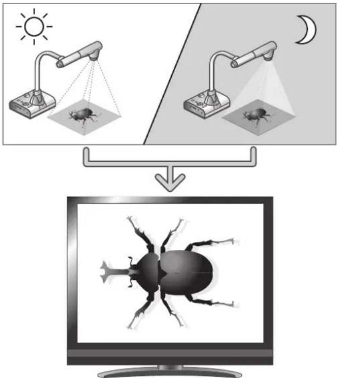Diagram illustrating insect imaging techniques with sun, moon, and monitor displaying a beetle image