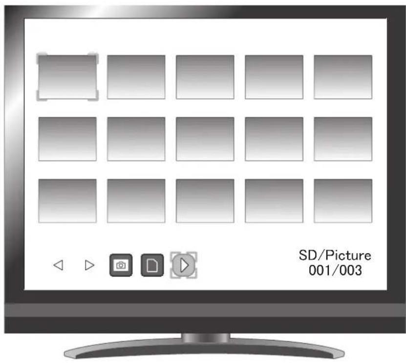 SD/Picture 001/003