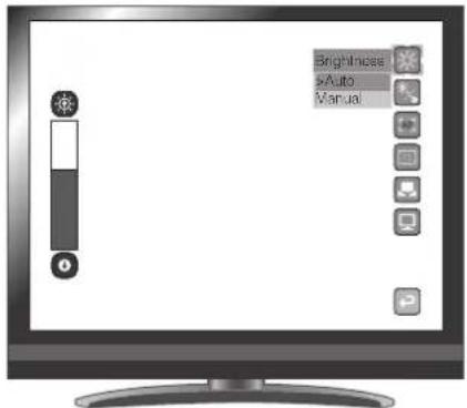 Brightness Auto Manual