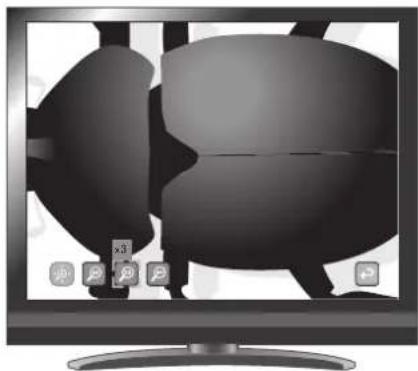 Elmo TT-12i - Digital zoom setting operations - 1