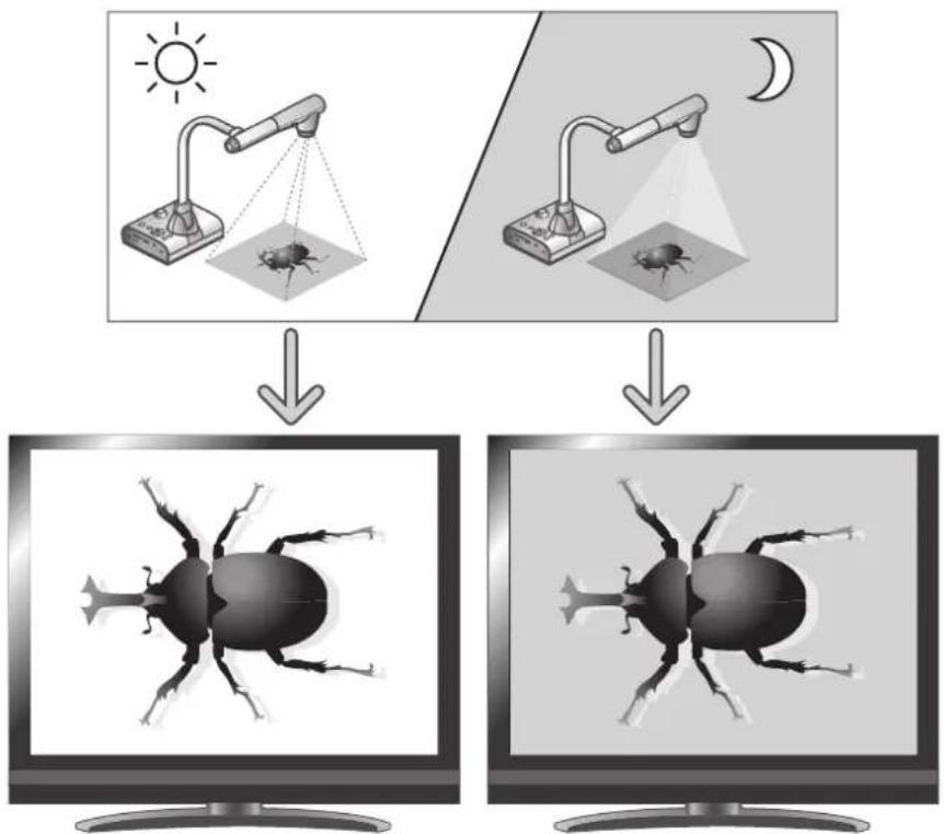 Diagram illustrating insect imaging techniques on screens, showing sun, moon, and insect illustrations with labeled components.